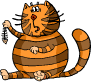 Fat Cat!